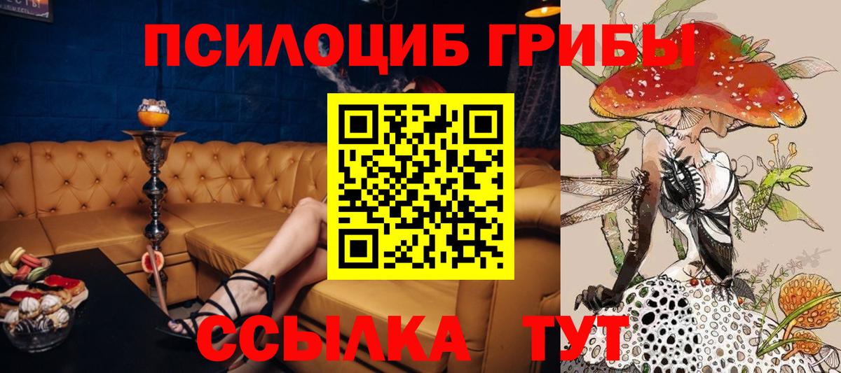 Галлюциногенные грибы Psilocybine cubensis Дербент