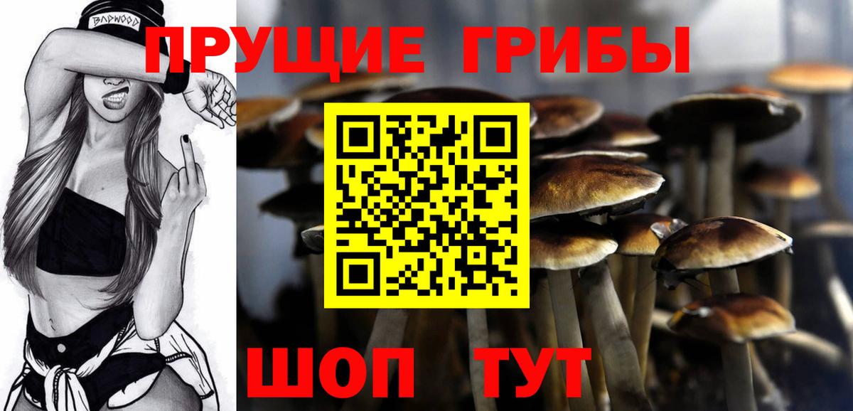 Галлюциногенные грибы Magic Shrooms  Вход с VPN  Дербент 
